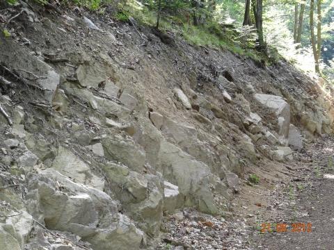 Wandertour von Zell-hinauf-zum-Brandenkopf