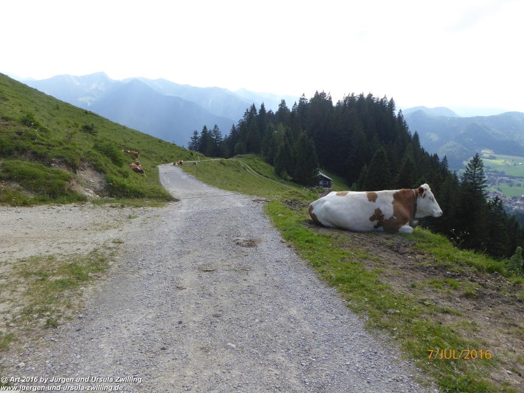Philosophische Bildwanderung Gipfeltraumtour von Fischbachau auf den Wendelstein - Schliersee -Tegernsee