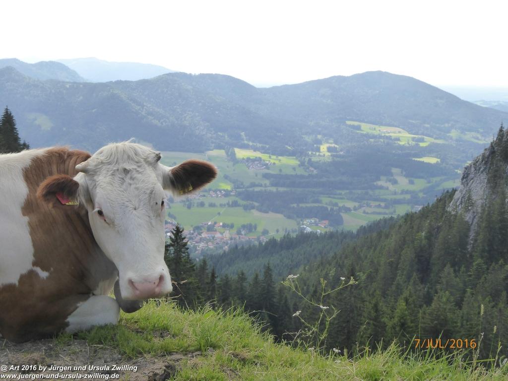 Philosophische Bildwanderung Gipfeltraumtour von Fischbachau auf den Wendelstein - Schliersee -Tegernsee