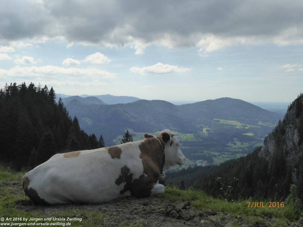 Philosophische Bildwanderung Gipfeltraumtour von Fischbachau auf den Wendelstein - Schliersee -Tegernsee