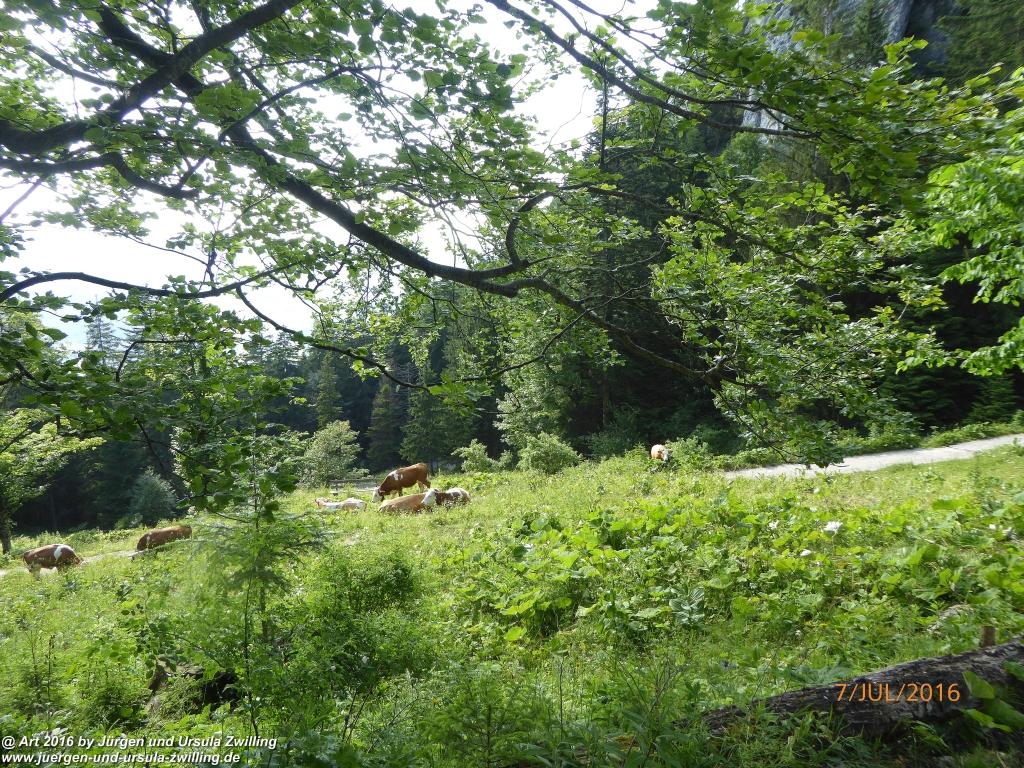 Philosophische Bildwanderung Gipfeltraumtour von Fischbachau auf den Wendelstein - Schliersee -Tegernsee