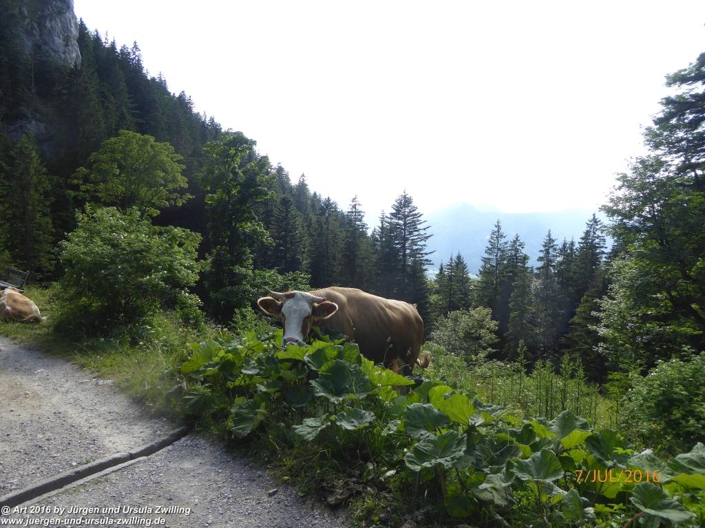 Philosophische Bildwanderung Gipfeltraumtour von Fischbachau auf den Wendelstein - Schliersee -Tegernsee