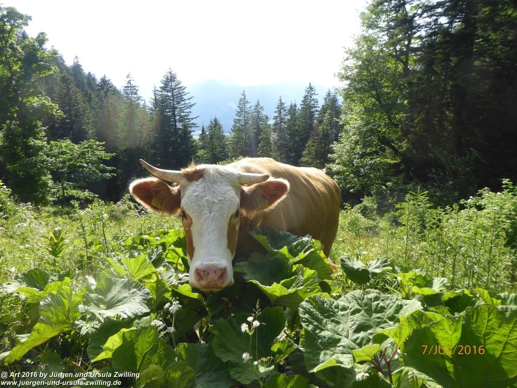 Philosophische Bildwanderung Gipfeltraumtour von Fischbachau auf den Wendelstein - Schliersee -Tegernsee