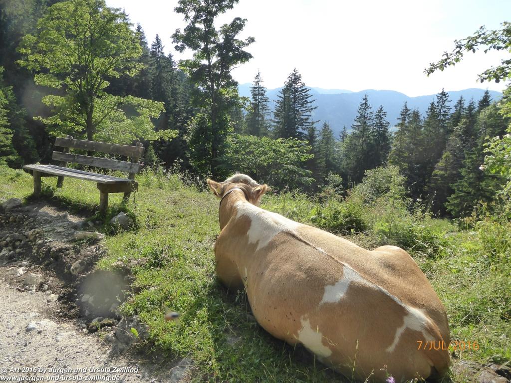 Philosophische Bildwanderung Gipfeltraumtour von Fischbachau auf den Wendelstein - Schliersee -Tegernsee