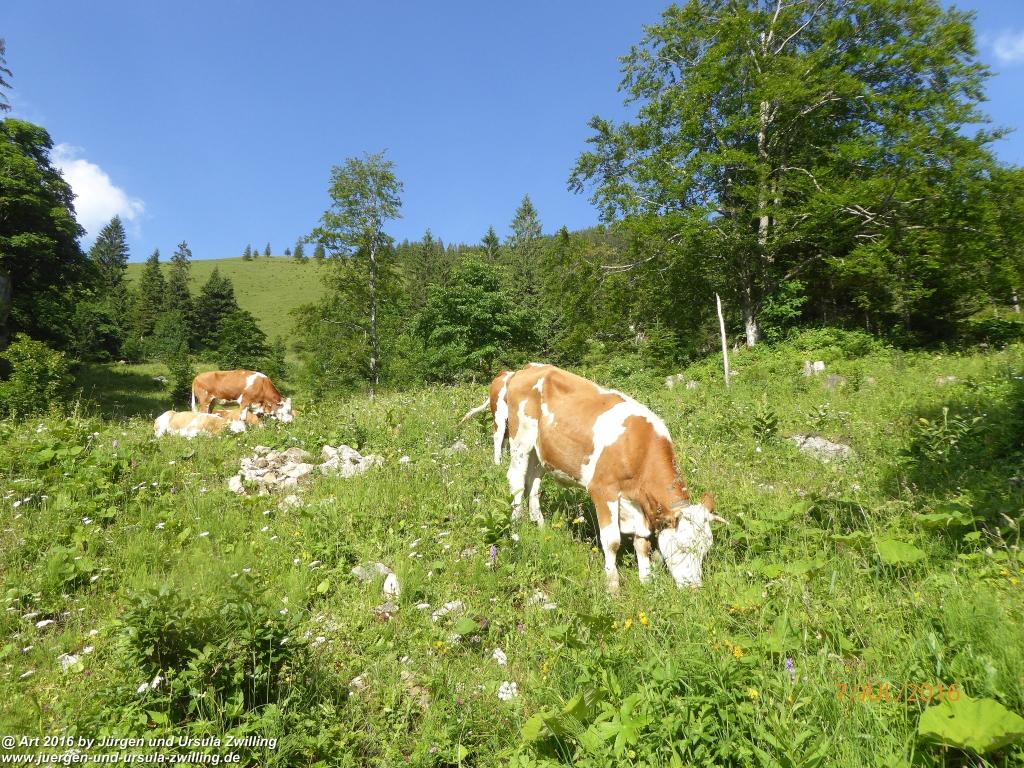 Philosophische Bildwanderung Gipfeltraumtour von Fischbachau auf den Wendelstein - Schliersee -Tegernsee