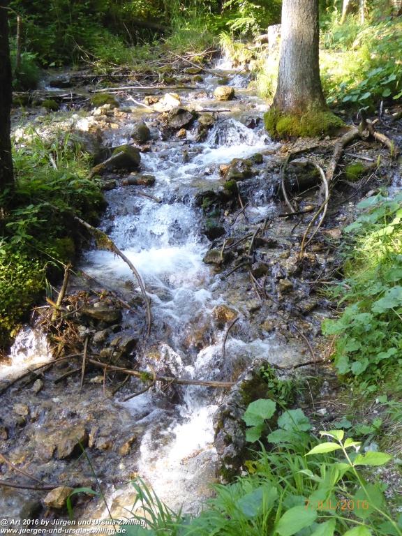 Philosophische Bildwanderung Gipfeltraumtour von Fischbachau auf den Wendelstein - Schliersee -Tegernsee