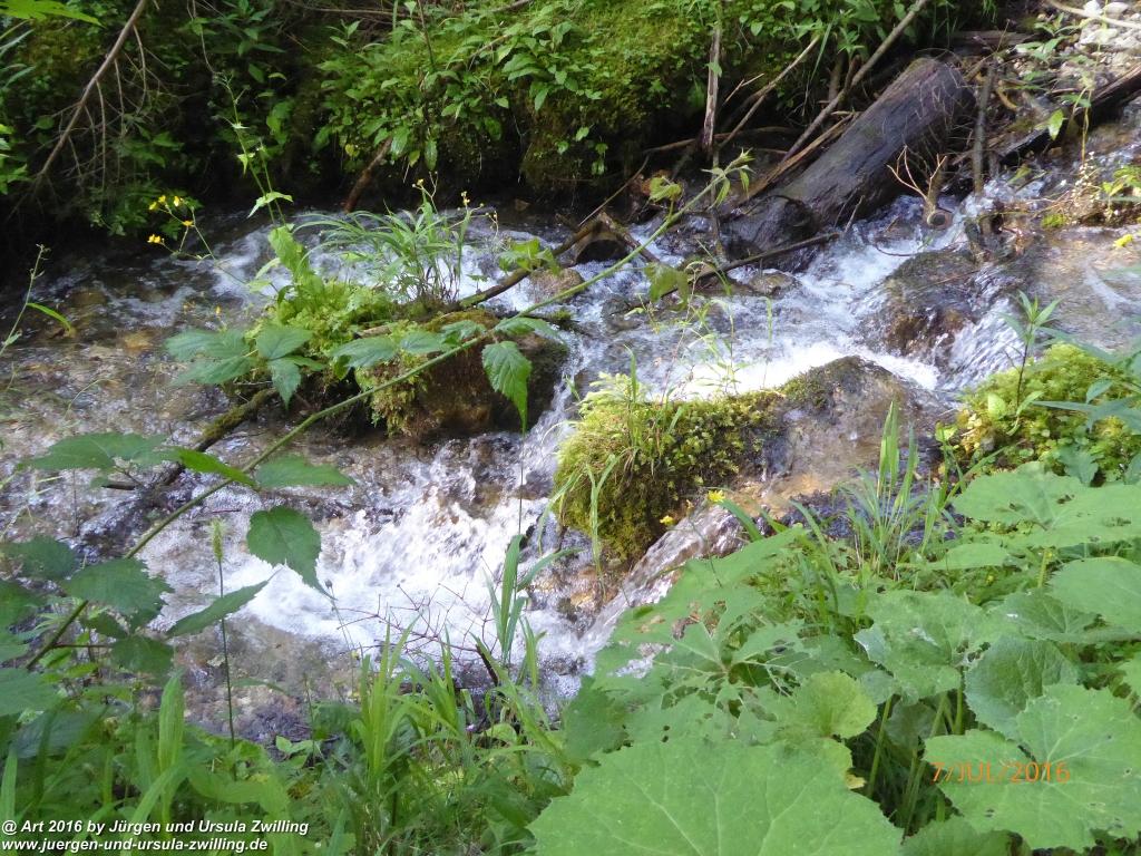 Philosophische Bildwanderung Gipfeltraumtour von Fischbachau auf den Wendelstein - Schliersee -Tegernsee