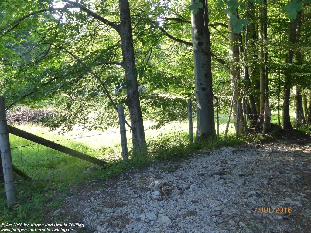 Philosophische Bildwanderung Gipfeltraumtour von Fischbachau auf den Wendelstein - Schliersee -Tegernsee