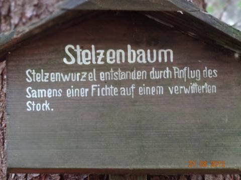 Wandertour von Zell-hinauf-zum-Brandenkopf