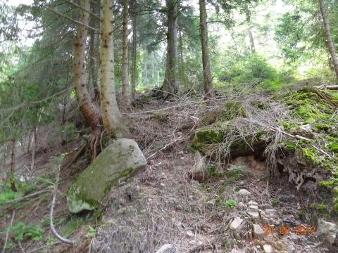 Wandertour von Zell-hinauf-zum-Brandenkopf