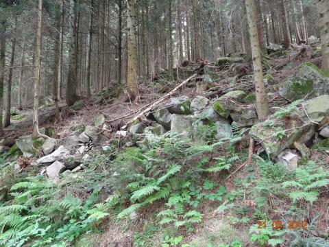 Wandertour von Zell-hinauf-zum-Brandenkopf