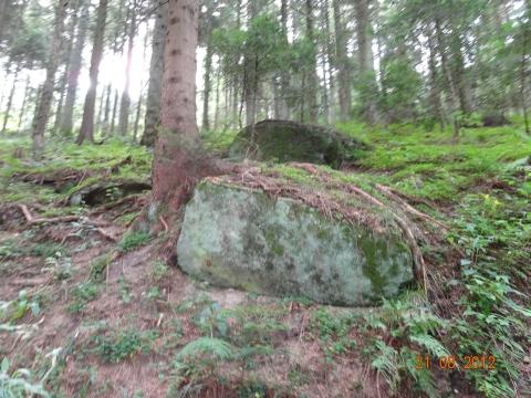 Wandertour von Zell-hinauf-zum-Brandenkopf