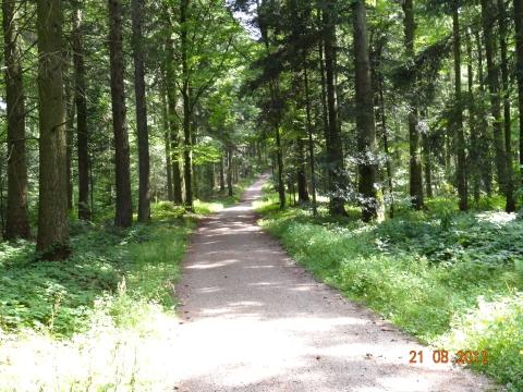 Wandertour von Zell-hinauf-zum-Brandenkopf