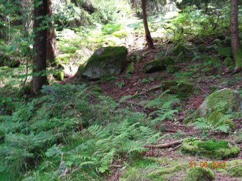 Wandertour von Zell-hinauf-zum-Brandenkopf
