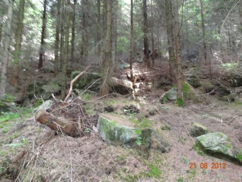 Wandertour von Zell-hinauf-zum-Brandenkopf