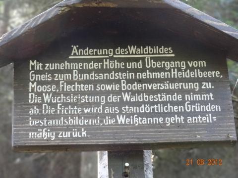 Wandertour von Zell-hinauf-zum-Brandenkopf