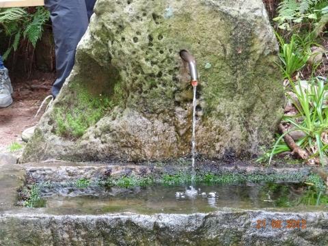 Wandertour von Zell-hinauf-zum-Brandenkopf