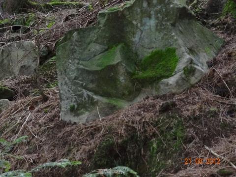 Wandertour von Zell-hinauf-zum-Brandenkopf