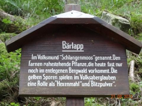 Wandertour von Zell-hinauf-zum-Brandenkopf