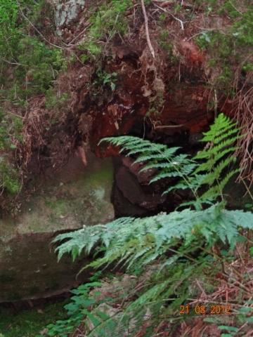 Wandertour von Zell-hinauf-zum-Brandenkopf