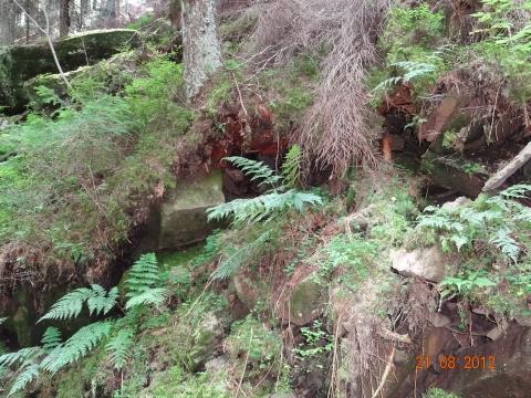 Wandertour von Zell-hinauf-zum-Brandenkopf
