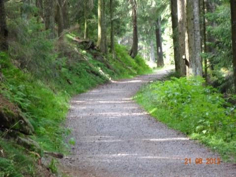 Wandertour von Zell-hinauf-zum-Brandenkopf