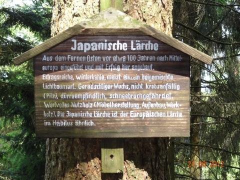 Wandertour von Zell-hinauf-zum-Brandenkopf