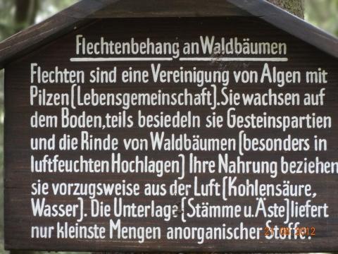 Wandertour von Zell-hinauf-zum-Brandenkopf