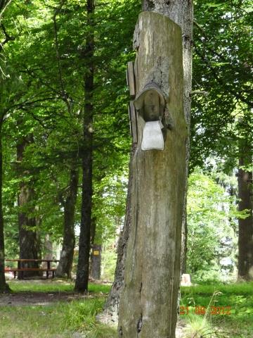 Wandertour von Zell-hinauf-zum-Brandenkopf