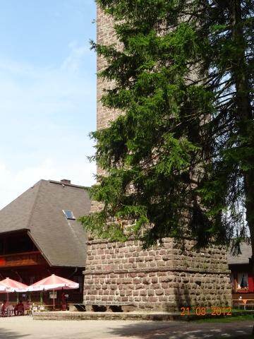 Wandertour von Zell-hinauf-zum-Brandenkopf