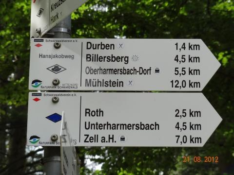 Wandertour von Zell-hinauf-zum-Brandenkopf