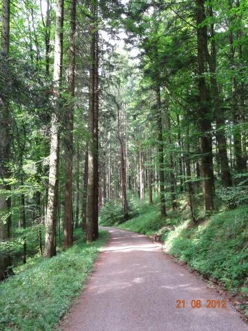 Wandertour von Zell-hinauf-zum-Brandenkopf