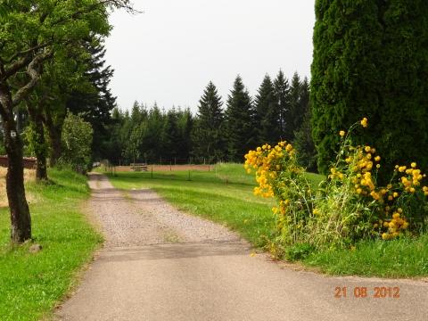 Wandertour von Zell-hinauf-zum-Brandenkopf