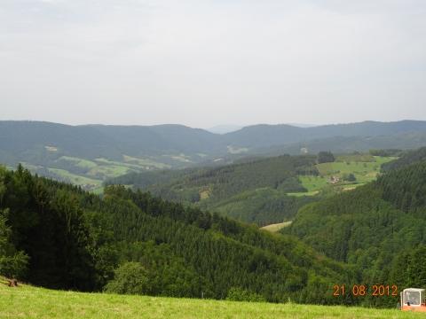 Wandertour von Zell-hinauf-zum-Brandenkopf