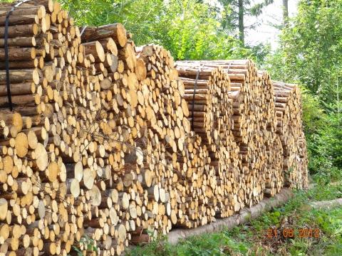 Wandertour von Zell-hinauf-zum-Brandenkopf