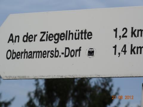 Wandertour von Zell-hinauf-zum-Brandenkopf