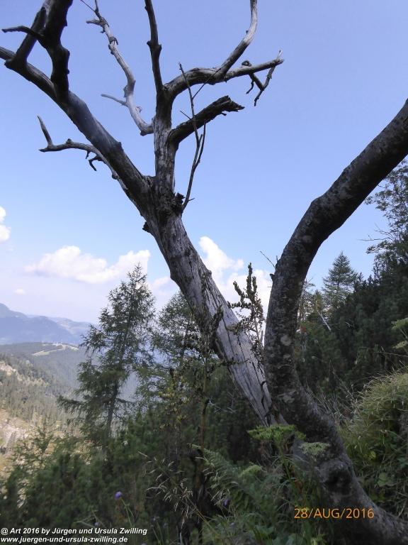 Philosophische Bildwanderung Grünauer Kasberg Salzkammergut - Österreich