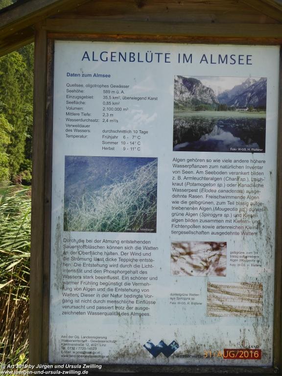 Almsee im Almtal - Salzkammergut - Österreich