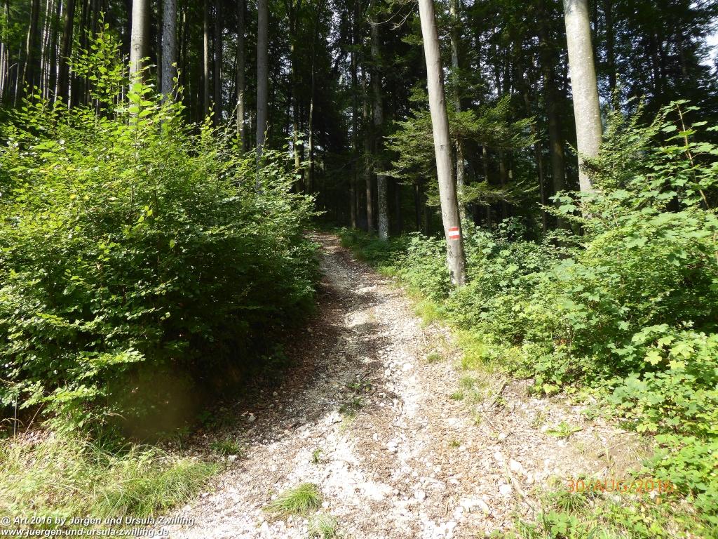 Philosophische Bildwanderung Zwillingskogel - Grünau im Salzkammergut - Österreich