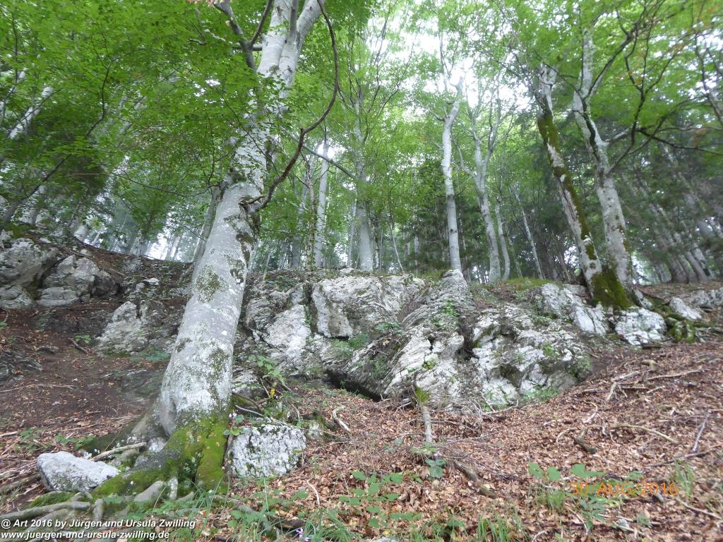 Philosophische Bildwanderung Zwillingskogel - Grünau im Salzkammergut - Österreich