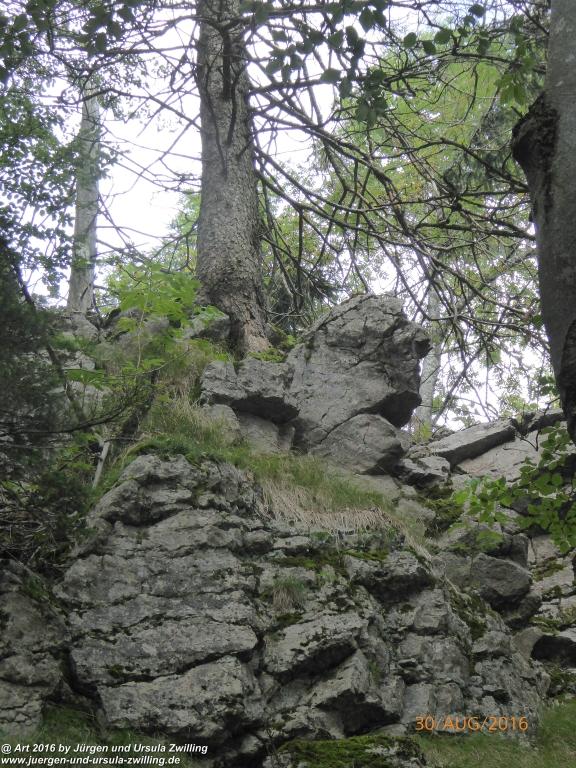 Philosophische Bildwanderung Zwillingskogel - Grünau im Salzkammergut - Österreich
