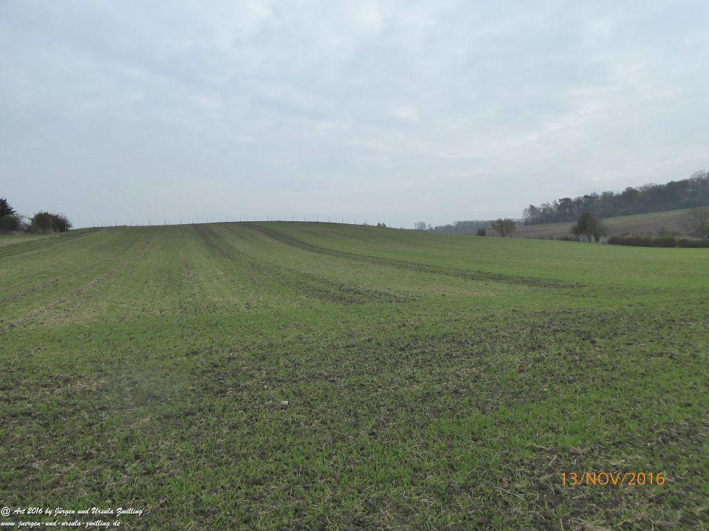 Philosophische Bildwanderung Selztal-Terroir-Route-3 - Rheinhessen