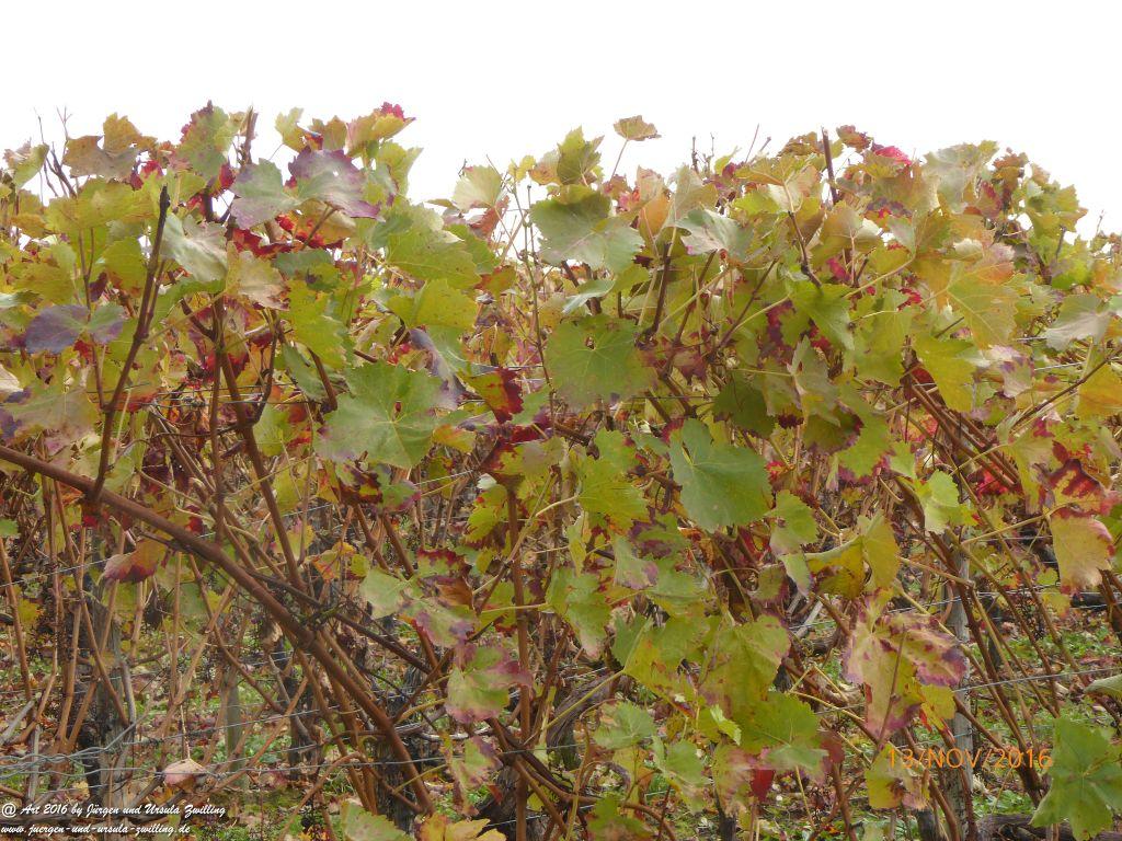 Philosophische Bildwanderung Selztal-Terroir-Route-3 - Rheinhessen