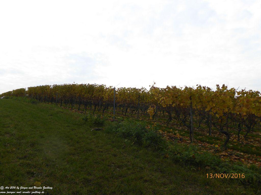Philosophische Bildwanderung Selztal-Terroir-Route-3 - Rheinhessen