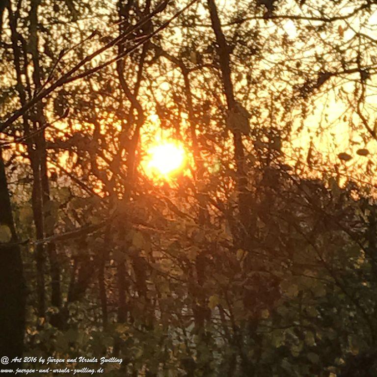 Sonnenaufgang in Rheinhessen - Mainz erlebt beim Joggen am Morgen 14.11.2016