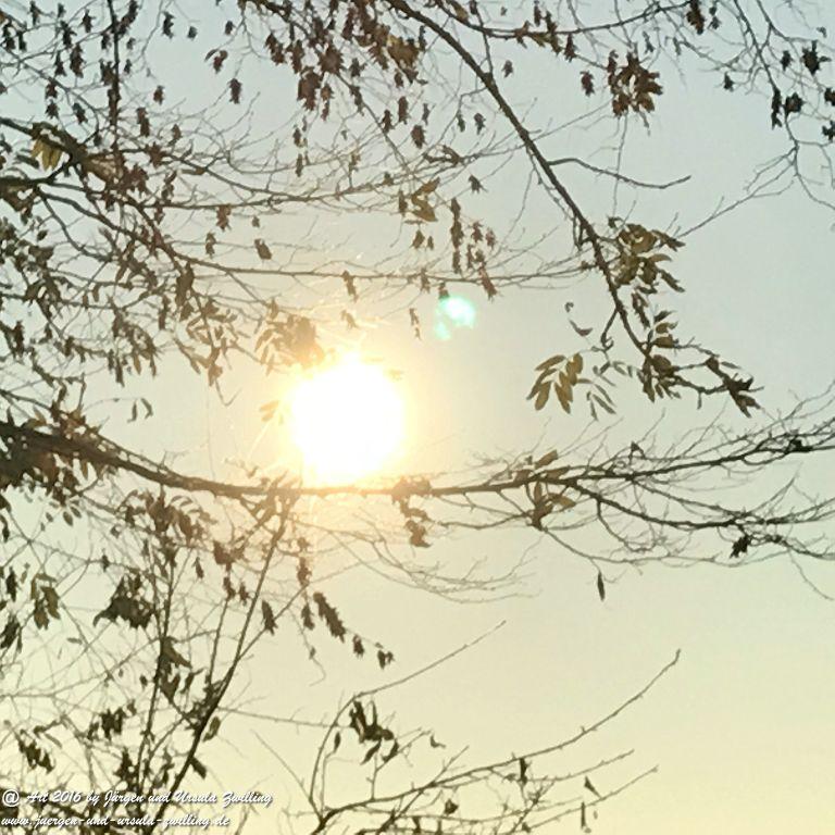 Sonnenaufgang in Rheinhessen - Mainz erlebt beim Joggen am Morgen 14.11.2016