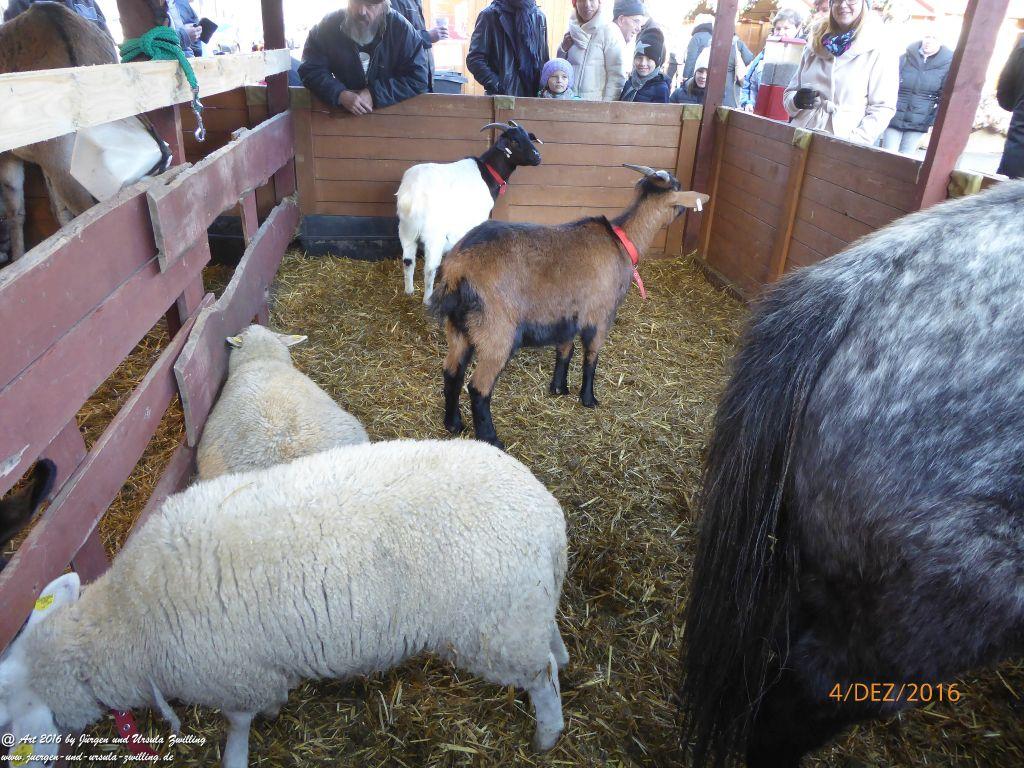 Weihnachtsmarkt in Pilsen in Tschechien