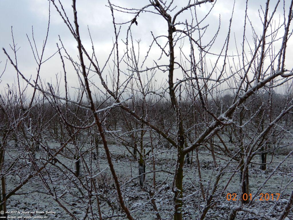 Neujahresblick winterliche Felder von Mainz Finthen und Ober Olmer Wald - Rheinhessen 