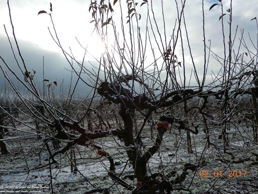 Neujahresblick winterliche Felder von Mainz Finthen und Ober Olmer Wald - Rheinhessen 