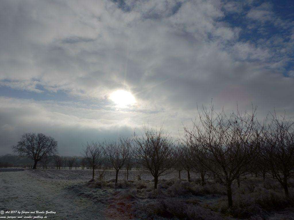 Neujahresblick winterliche Felder von Mainz Finthen und Ober Olmer Wald - Rheinhessen 